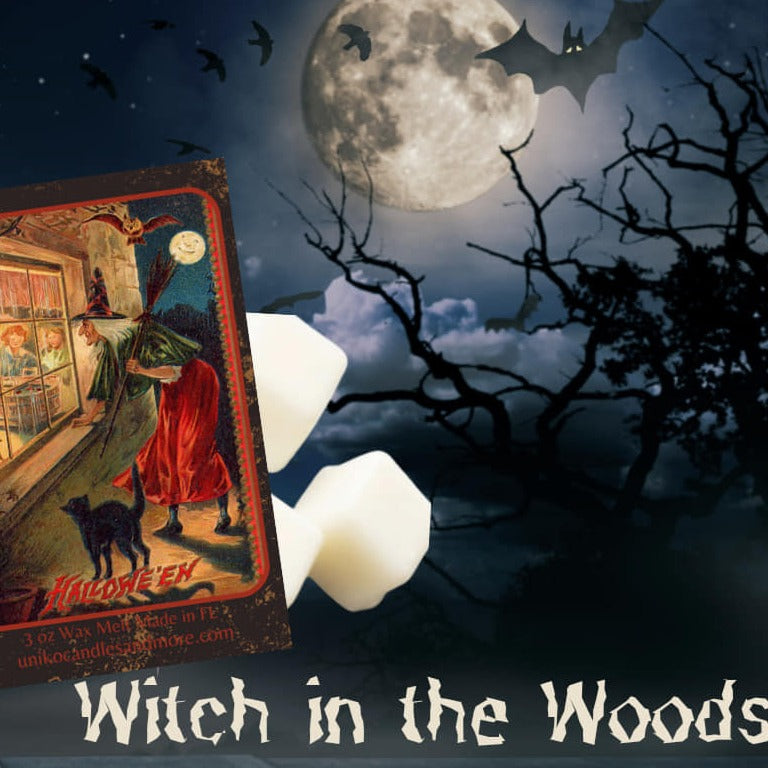 WITCH IN THE WOODS