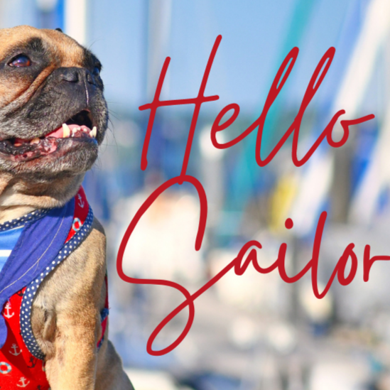 HELLO SAILOR