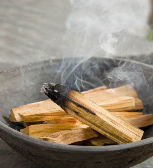 PALO SANTO
