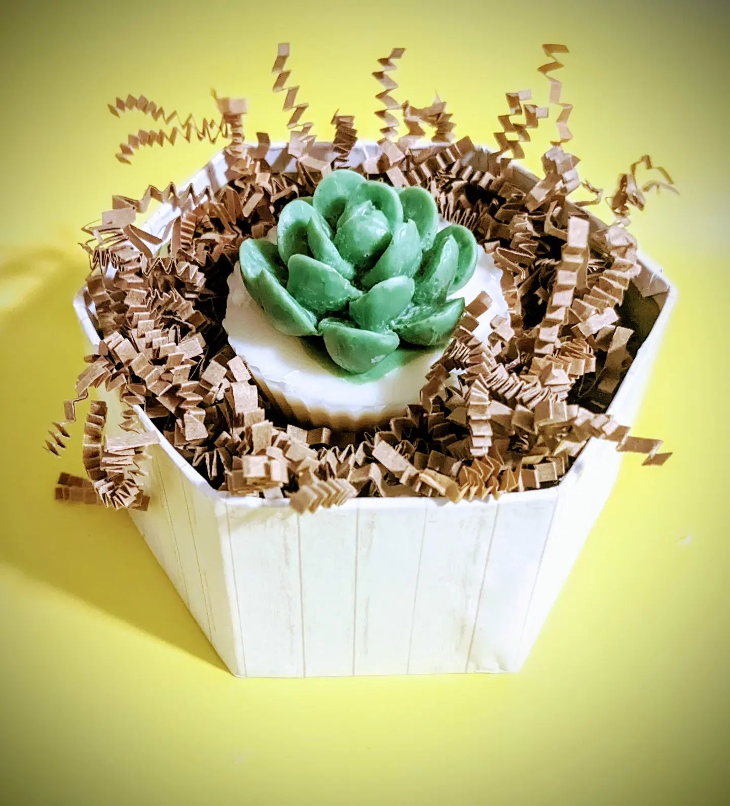 Mother's day succulent box